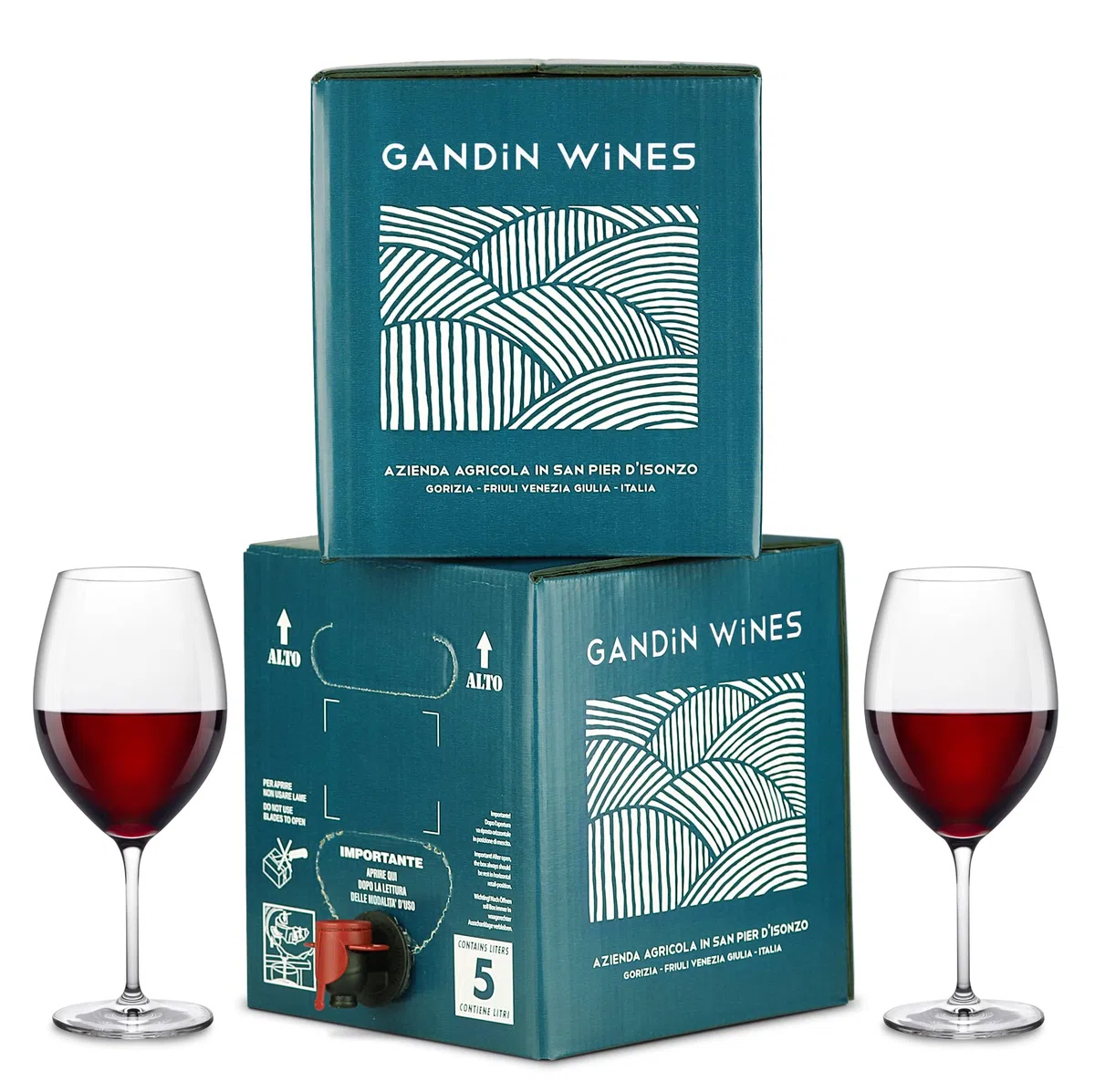 Bag in Box vino Refosco dal Peduncolo Rosso IGT Venezia Giulia 12% - Vigne di Giulia - 2 confezioni da 5 litri