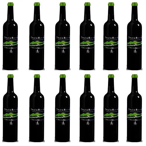 Falanghina del Beneventano | Le Terre del Normanno | 12 Bottiglie 75cl | Vino Bianco Campania | Idea Regalo