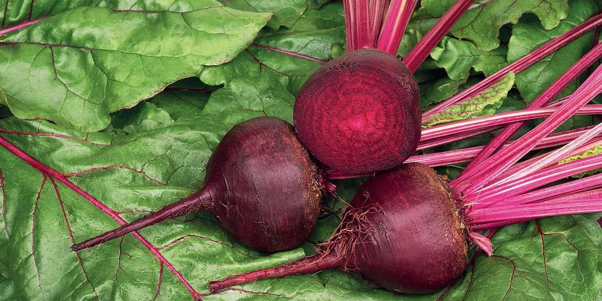 6 Bottiglie succo di Barbabietola Voelkel 700 ml Ricco di potassio Certificato biologico Demeter (6)